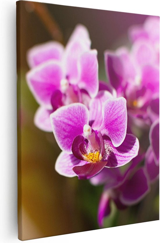 Artaza Canvas Schilderij Paarse Orchidee Bloemen - 40x50 - Foto Op Canvas - Canvas Print