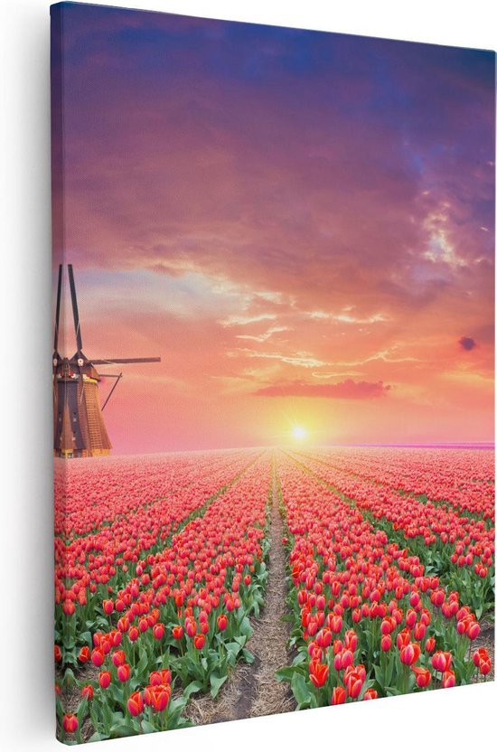Artaza Canvas Schilderij Rode Rozen Bloemenveld Met Een Windmolen - 40x50 - Foto Op Canvas - Canvas Print