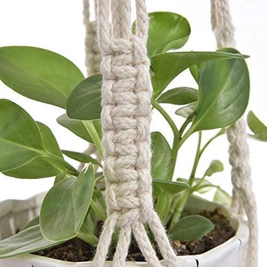 Ter Steege Plantenpot - hangend - wit - kunststof - 25 x 12 cm | Leen