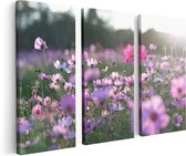 Artaza - Triptyque de peinture sur toile - Champ de fleurs avec Kosmos violet - 120x80 - Photo sur toile - Impression sur toile