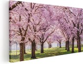 Artaza Canvas Schilderij Roze Bloesembomen Park - Bloemen - 100x50 - Groot - Foto Op Canvas - Canvas Print