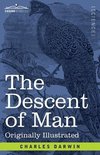 The Descent of Man