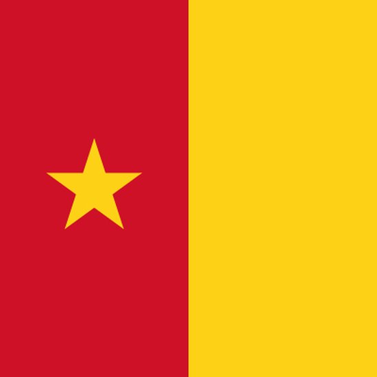 drapeau Cameroun, Drapeaux camerounais 150x225cm