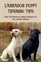 Labrador Puppy Training Tips: Basic And Advanced Training Techniques For Your Labrador Retriever