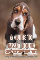 A Guide To Basset Hound Puppy: Taking Care Of Your Pet, Grooming, Diet, Training, And More