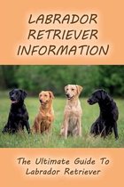 Labrador Retriever Information: The Ultimate Guide To Labrador Retriever