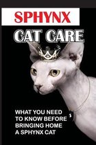 Sphynx Cat Care: What You Need To Know Before Bringing Home A Sphynx Cat
