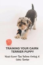 Training Your Cairn Terrier Puppy: Must-Know Tips Before Owing A Cairn Terrier