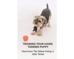 Training Your Cairn Terrier Puppy