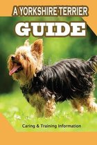 A Yorkshire Terrier Guide: Caring & Training Information