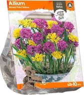 Plantenwinkel Allium Mixed Pink Yellow bloembollen per 10 stuks