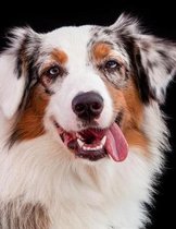 Australian Shepherd Notebook