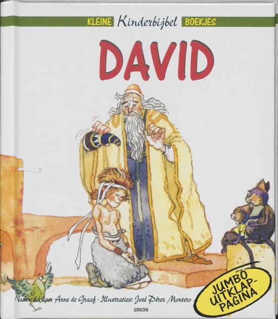 Cover van het boek 'David' van A. de Graaf