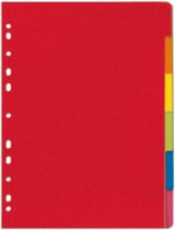 Herlitz kartonnen indexen - blanco - DIN A4 - 6 kleuren - 1 stuk