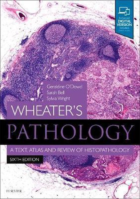 Boek cover Wheaters Pathology: A Text, Atlas and Review of Histopathology van Geraldine ODowd (Paperback)