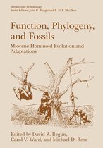 Advances in Primatology - Function, Phylogeny, and Fossils