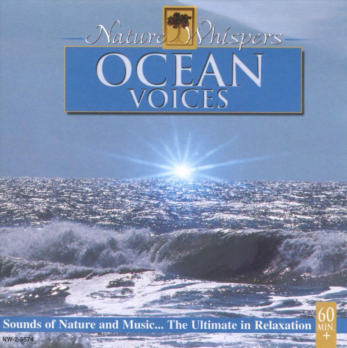 Ocean Voicces