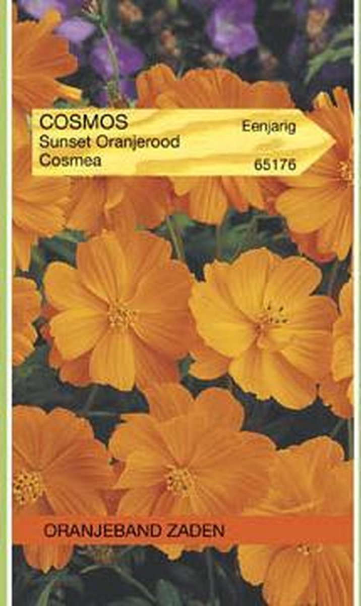 Oranjebandzaden - Cosmos, Cosmea Sunset