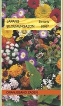 Oranjeband Zaden - Japans bloemengazon