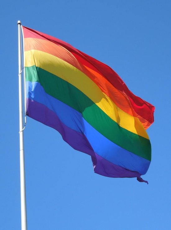 Regenboogvlag XXL 250x150CM | LGBT Pride Flag | Regenboog | bol.com