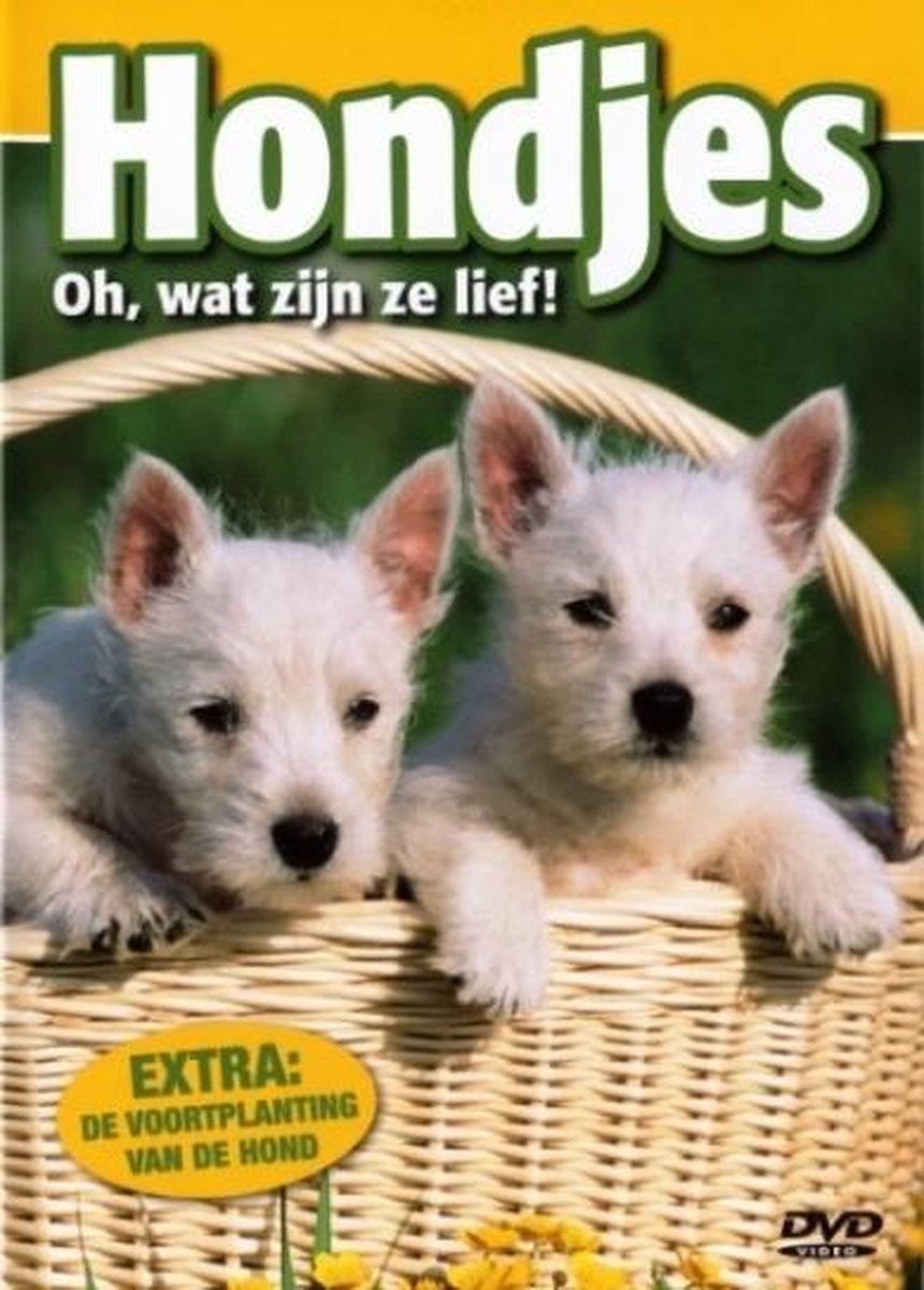 Hondjes - Oh Wat Zijn Ze Lief