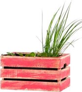 Waterplanten kist "red"/ Balkon / Terrasvijvertje / Minivijver / Hout