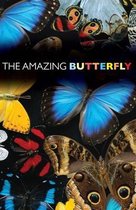 The Amazing Butterfly (Pack of 25)
