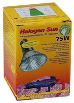 Lucky Reptile Halogen Sun - 75W