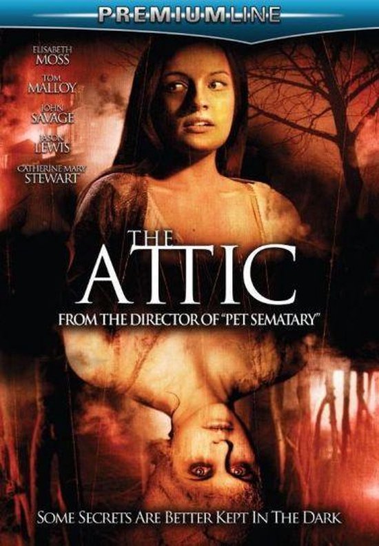 Cover van de film 'The Attic'