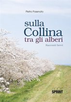 Sulla collina tra gli alberi