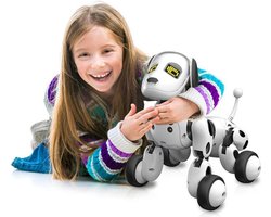 Definitief Mellow Leeg de prullenbak Robot Hond Speelgoed voor Kinderen - voor Jongens en Meisjes met  Afstandsbediening | bol.com