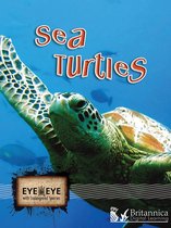 Eye to Eye with Endangered Species - Sea Turtles
