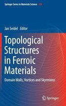 Topological Structures in Ferroic Materials