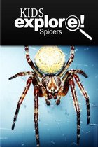 Spiders - Kids Explore