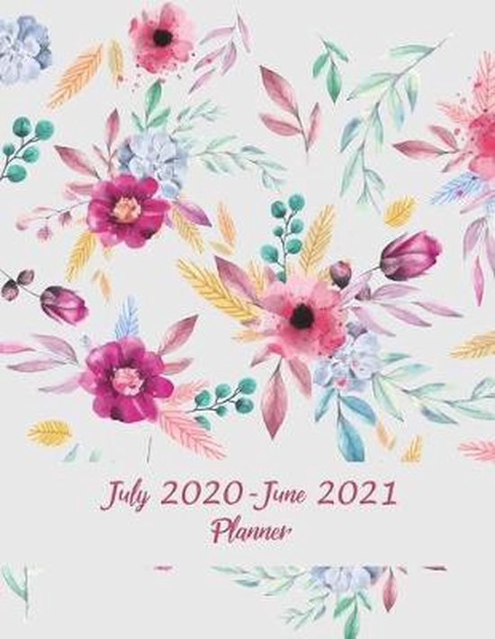 July 2020June 2021 Planner, Bluesky Planners 9781721284559 Boeken