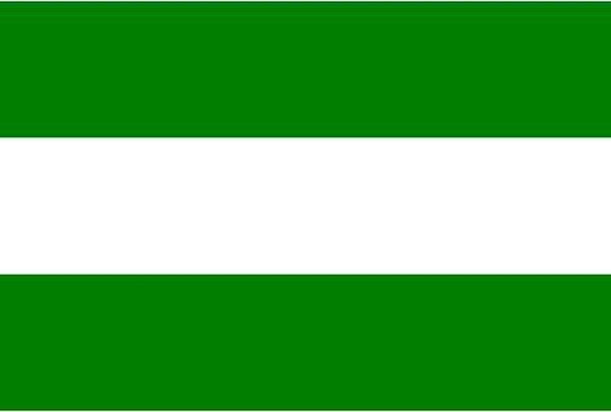 Vlag Rotterdam 90 x 150