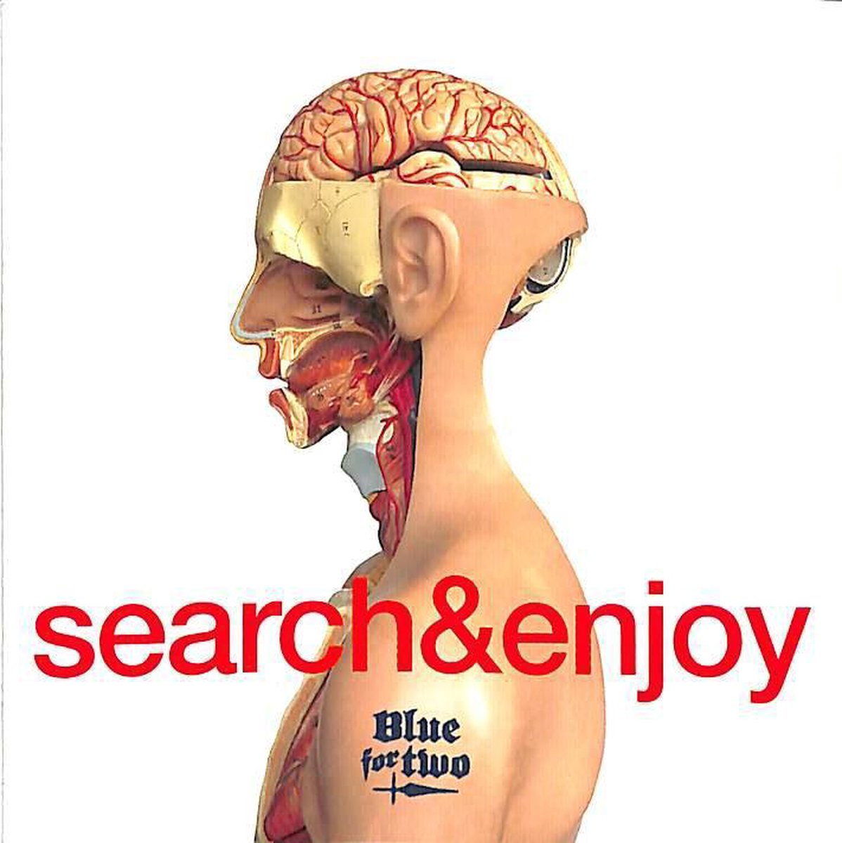 Search & enjoy