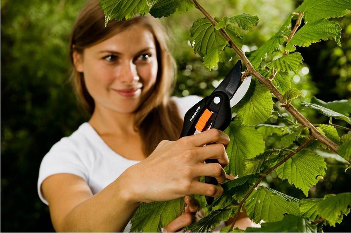 Fiskars Sécateur SingleStep - Sécateur