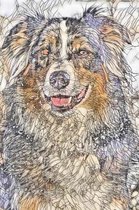 Australian Shepherd Notebook