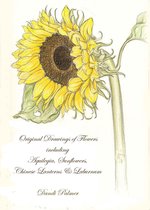Sketchbook Drawings - Original Drawings of Flowers Including Aquilegia, Sunflowers, Chinese Lanterns and Laburnum