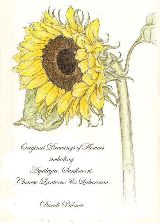 Sketchbook Drawings - Original Drawings of Flowers Including ... - cover