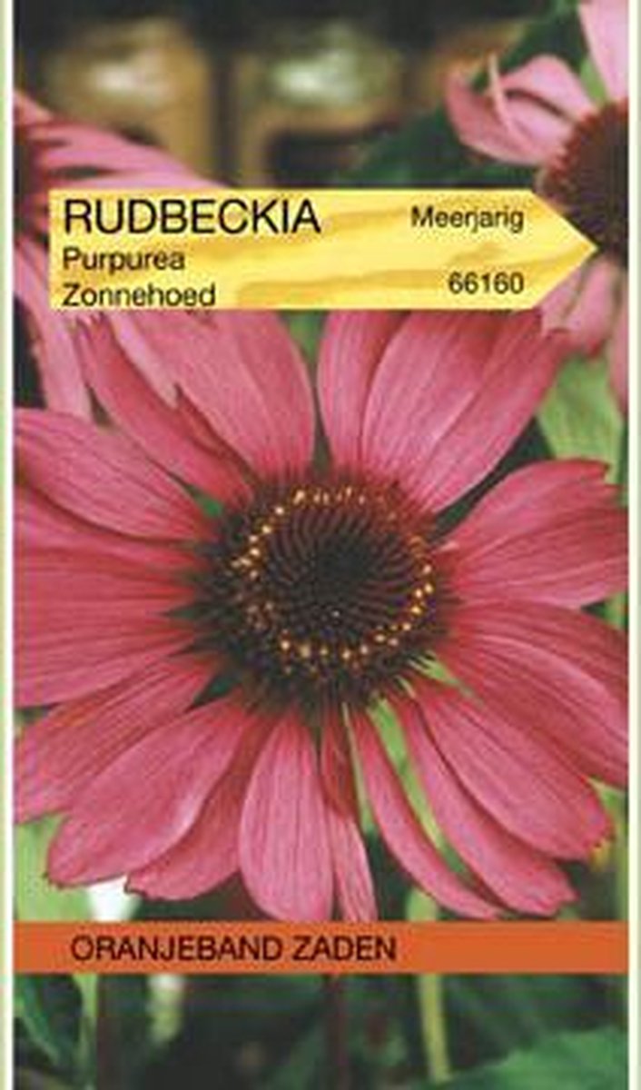 Oranjebandzaden - Rudbeckia, Zonnehoed Echinacea