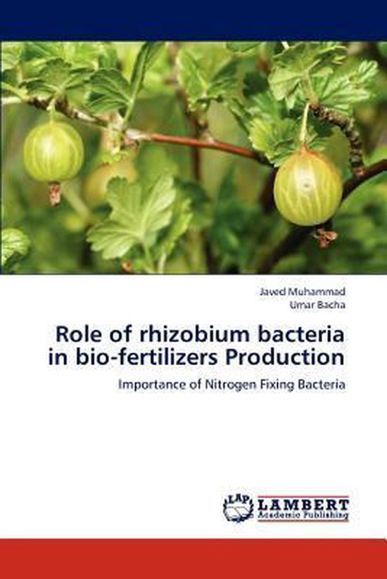 Foto: Role of rhizobium bacteria in bio fertilizers production