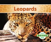 Big Cats - Leopards