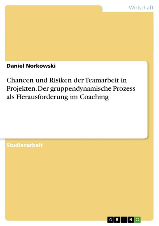 Chancen und Risiken der Teamarbeit in Projekten. Der gruppen ... - cover