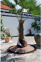 Wortelbescherming Ø 100cm geschikt voor stammen tot Ø 30cm | Wortelbescherming palmboom tegen vorst