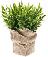 Kunstplant muizendoorn kruiden groen in pot 20 cm