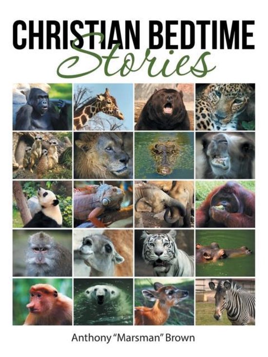 Christian Bedtime Stories, Anthony Marsman Brown 9781512747966 Boeken