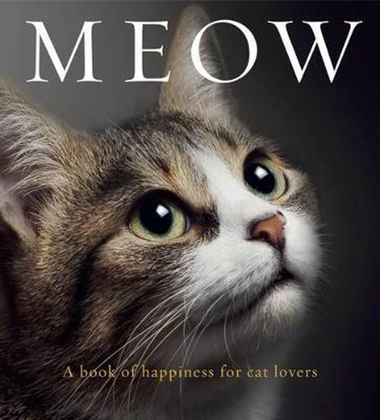 Meow - cover