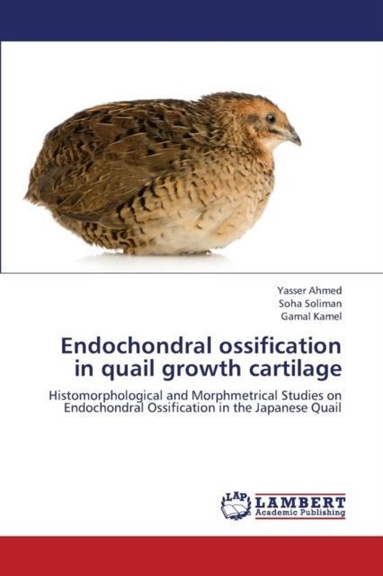 Endochondral Ossification in Quail Growth Cartilage - cover